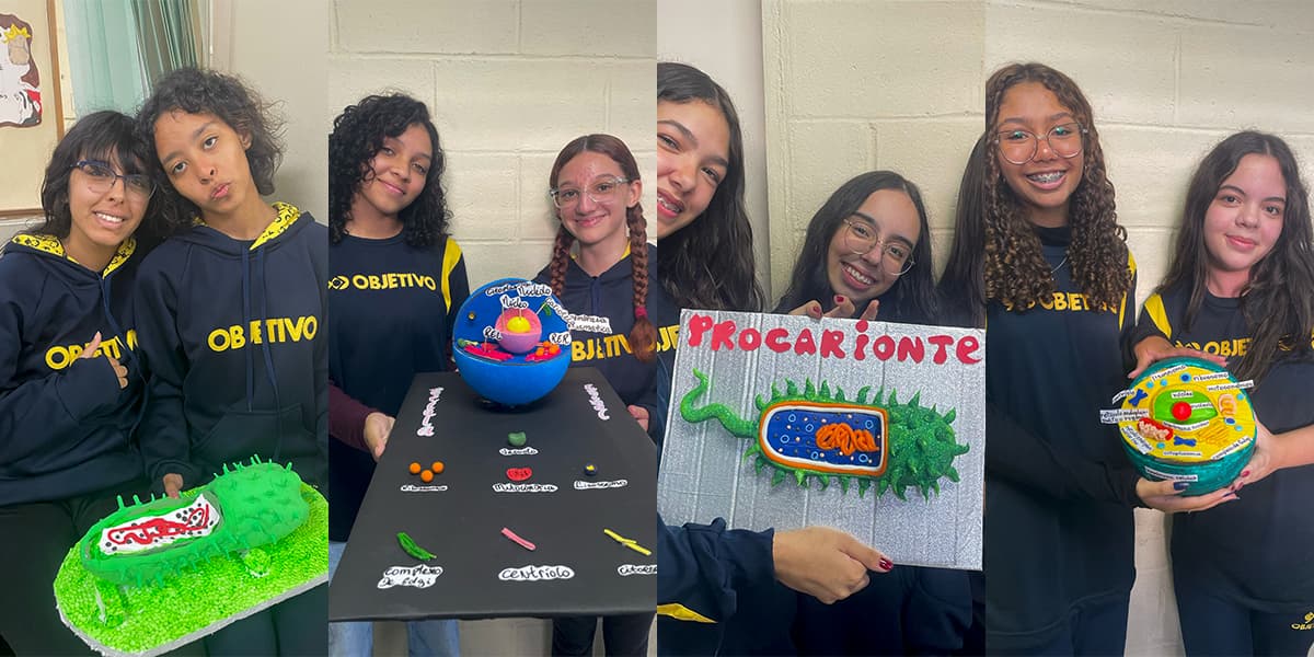 Biologia na prática: como as maquetes de células despertam criatividade e fortalecem o aprendizado | Eventos | Blog 